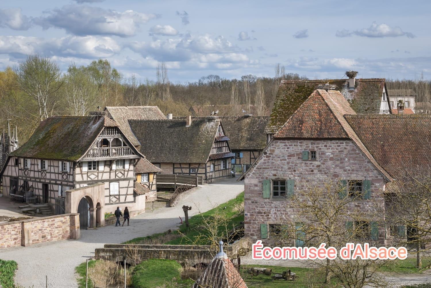 Entre Ville Et Vignes - Gite Classe 3 Etoiles Ингерсайм Экстерьер фото