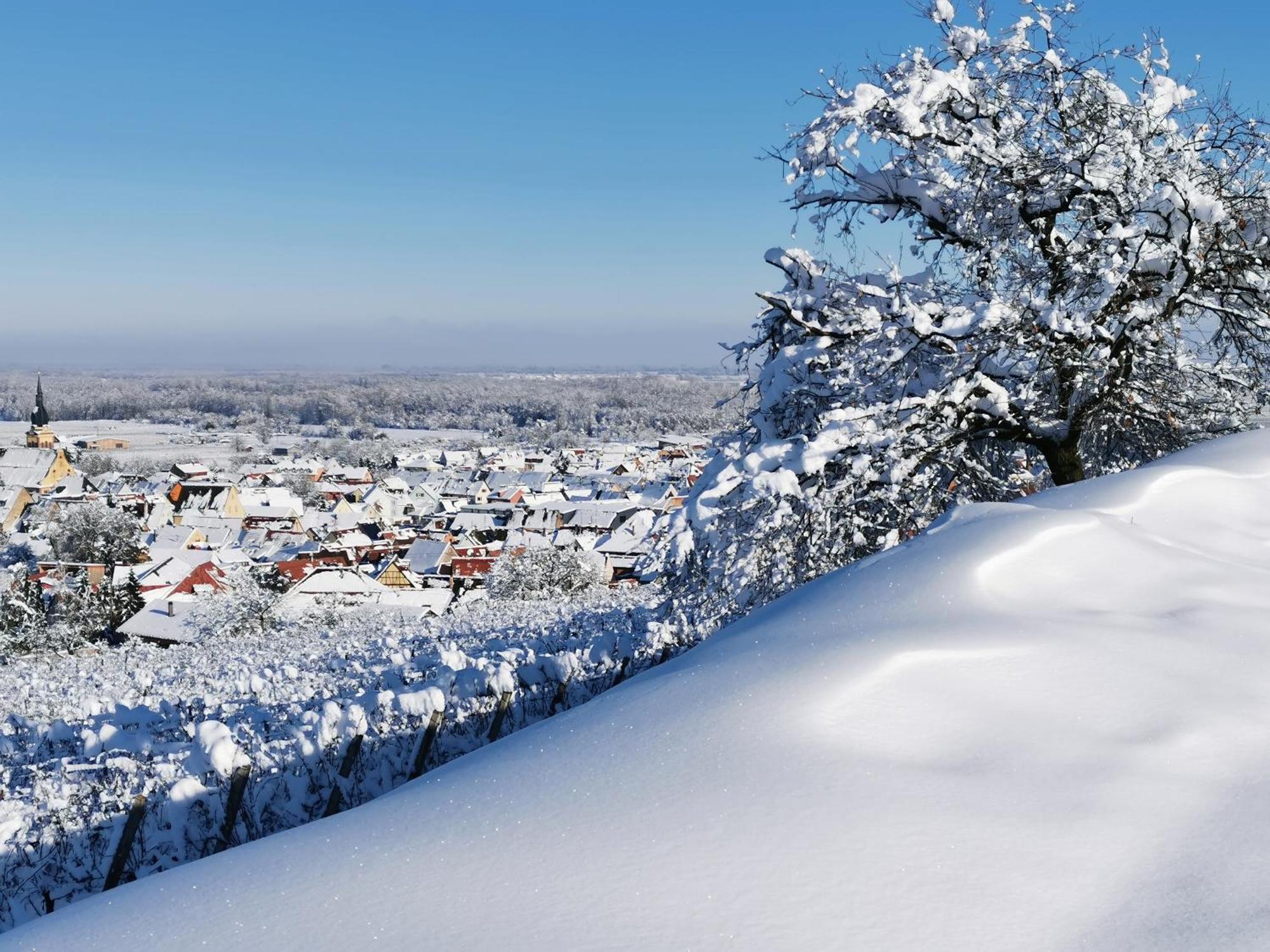Entre Ville Et Vignes - Gite Classe 3 Etoiles Ингерсайм Экстерьер фото
